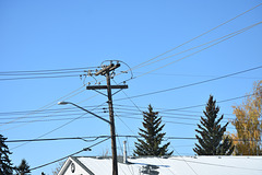 ENMAX Power 13.8kV - Calgary, AB