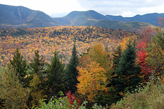New Hampshire color