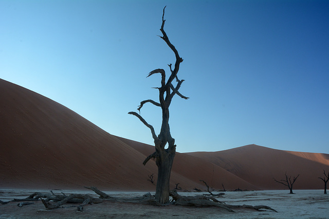 Namibia, The Early Morning at Deadvlei