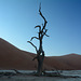 Namibia, The Early Morning at Deadvlei