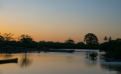 Crépuscule sur la mangrove