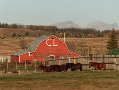 CL Ranches, Alberta