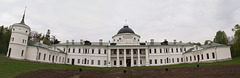 Дворец-усадьба Тарновских в Качановке / Palace of Tarnovsky in Kachanovka
