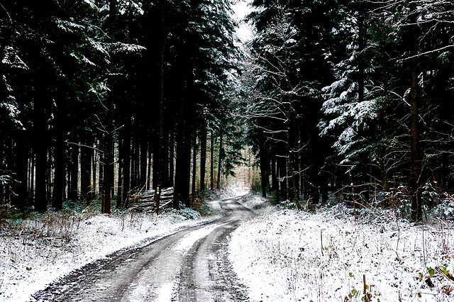 Winterwanderung - Winter hike