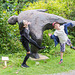 Broomhill Sculpture Park63