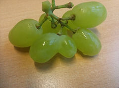 Mutant grape