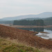 View Over Loch Stroan