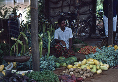 Früchte- und Gemüseverkäufer