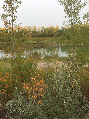 Pond in Calgary Canada