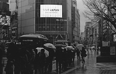 Rainy day at Shibuya