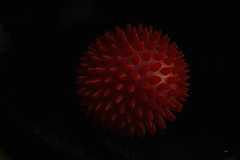 Black Monday in Spiny Red (on black please!)