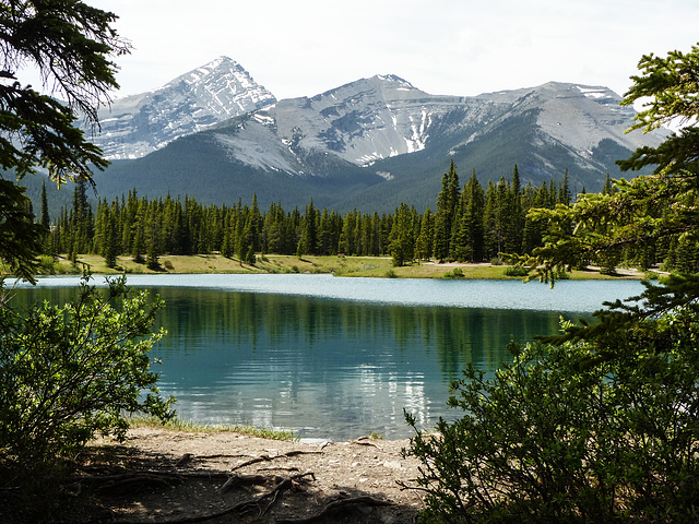 Forgetmenot Pond, Kananaskis