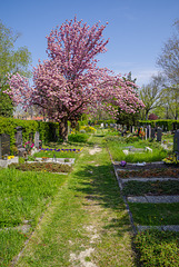 Am Asperner Friedhof