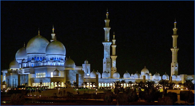 Moskea Zayed in the night (281)