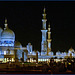 Moskea Zayed in the night (281)