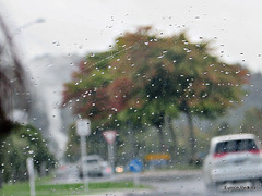 Rain in Rotorua