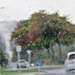Rain in Rotorua