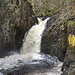 Ingleton waterfalls trail: Hollybush Spout