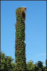 creeper-covered lamppost