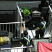 HFF - Lost Your Luggage?? (Workmen: 1 of 4)