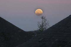 Moonset. 365/366  Week 53 (Dec. 30th - 31st)