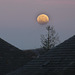 Moonset. 365/366  Week 53 (Dec. 30th - 31st)