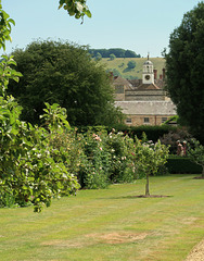 The House and the Downs