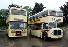 Preserved former Leicester City Transport 50 (TBC 50X) and 217 (217 AJF) - 27 Jul 2019 (P1030273)