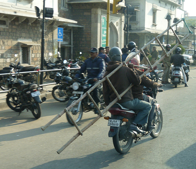 Jaipur- On a Mission with a Ladder