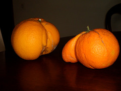 Oranges from Algarve.