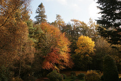 Autumn Colours At Vindolanda