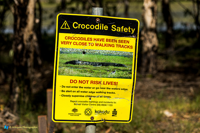 Watch out: Crocodile Safety