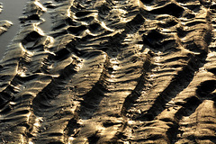 Low sun, shadowed sand