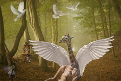 Forest of the Winged Creatures