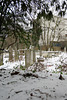 jewish cemetery kingsbury road, dalston, london