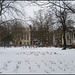 snow in Queen Square garden