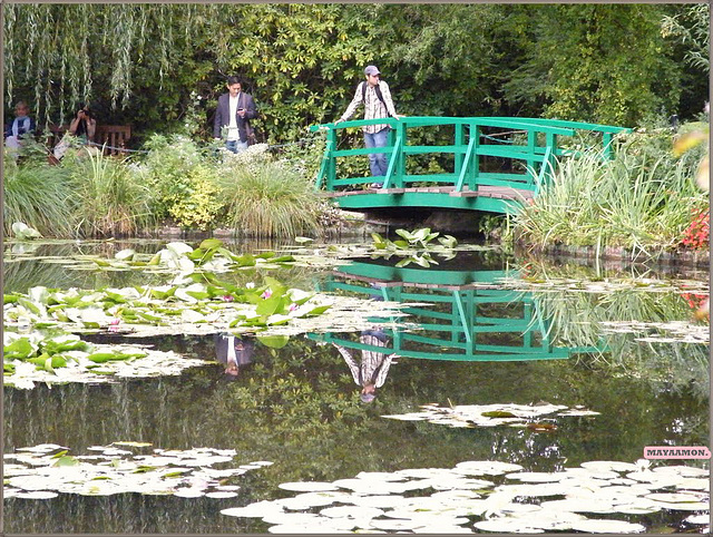 Reflets au jardin de Claude Monet à Giverny (27) avec PIP