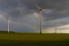 landscape in the wind ( krajobraz na wietrze )