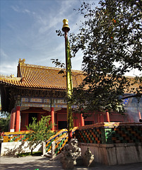 Lama Temple_16