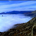 Vulture and fog, below Cancho Largo, La Sierra de La Cabrera. H. A. N. W. E. everybody!