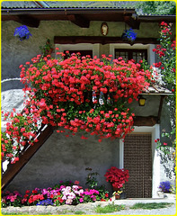 Balconi fioriti : Rochemolles