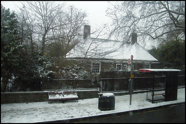 wintry Hyde Park bus stop