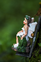 Wee Fairy Having a Seat