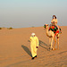 U.A.E., Dubai, Camel Ride in the Desert