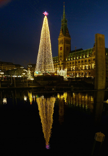 Roncalli-Weihnachtsmarkt Hamburg (PiP)