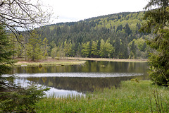 Lac de Lispach Vosges