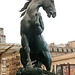 Cheval à la herse - Parvis du musée d'Orsay