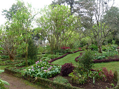 Palheiro Gardens auf Madeira an einem Januartag