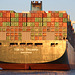 Containerriese Tokyo Triumph