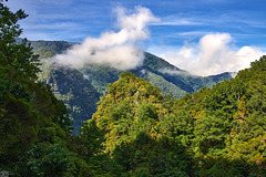 Levada do Caldeirao Verde, Madeira